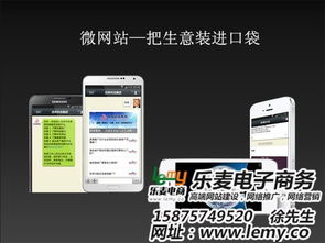 微信網(wǎng)站開(kāi)發(fā)制作 樂(lè)麥專(zhuān)注網(wǎng)站設(shè)計(jì) 在線咨詢(xún) 微信網(wǎng)站